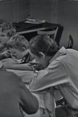 Ženich pro tetičku