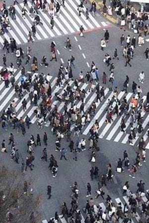 Shibuya: Spring Flowers and Bartering