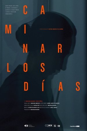 Caminar los días
