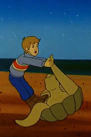 The Turtle Hunt