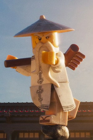 The Master:  A Lego Ninjago Short