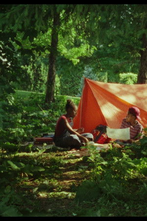 L’île aux trésors