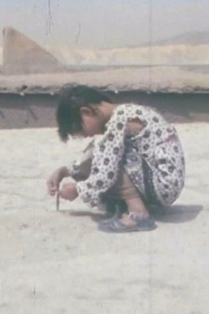 DokhtarBaas Didn't Want to be Alone