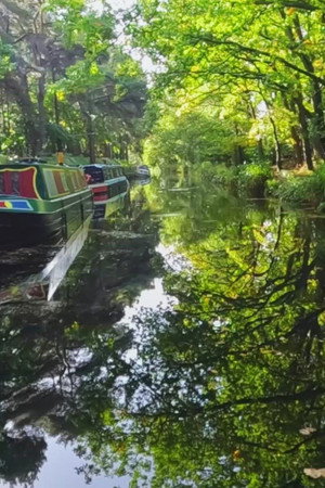 Byfleet to Odiham Castle