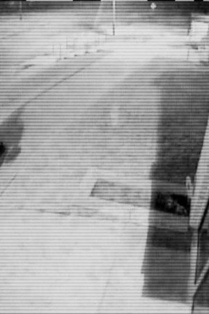 Maurice's Last Visitor