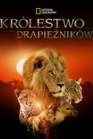 Królestwo drapieżników