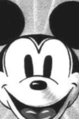 gay mickey