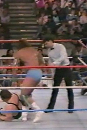 March 12, 1988 - Superstars of Wrestling 80