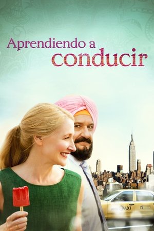 Imagen de Aprendiendo a conducir