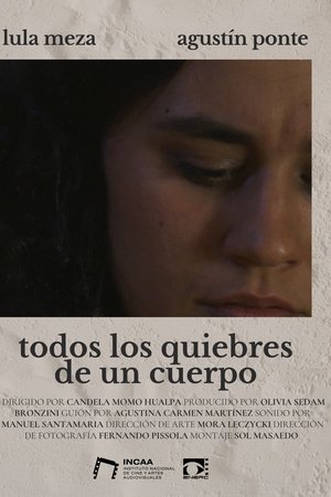 Todos los quiebres de un cuerpo