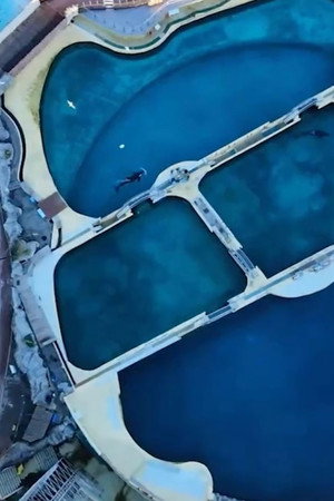 Has the Magic Vanished from Marine Zoos?