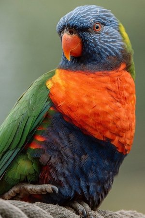 3. epizoda