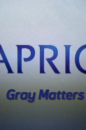 Video Blogs: Gray Matters