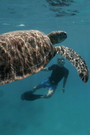 4. epizoda