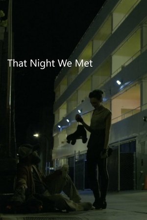 That Night we Met