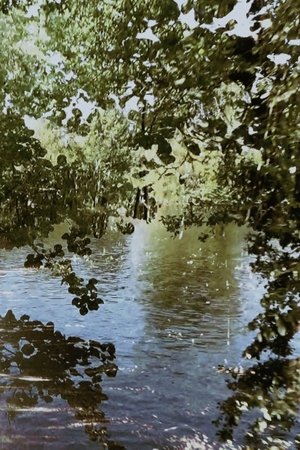 L’Arbre et la matière