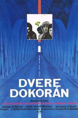 Dvere dokorán