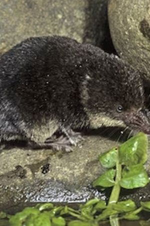 162. epizoda