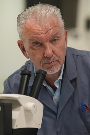 epizoda