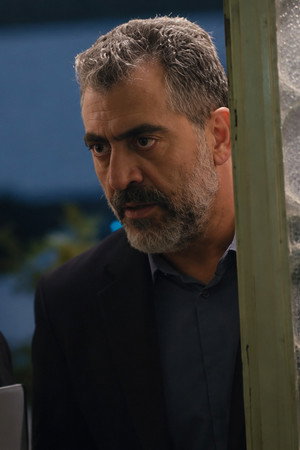 Episode 206