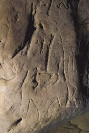 epizoda