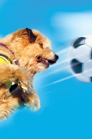 Soccer Dog: European Cup