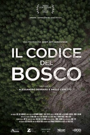 Il codice del bosco