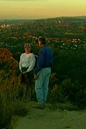 Mt. Hollywood