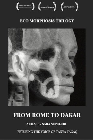From Rome to Dakar