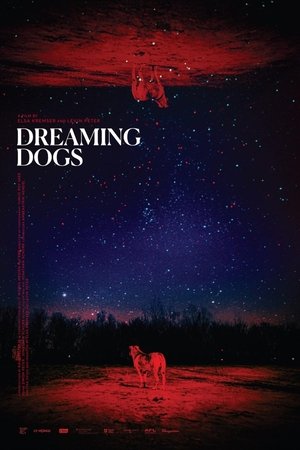 Dreaming Dogs