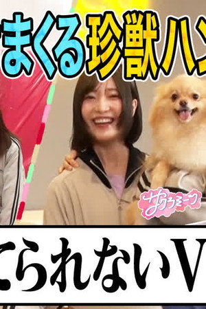 Episode 15