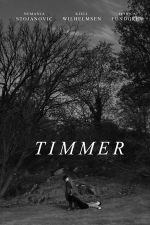 Timmer