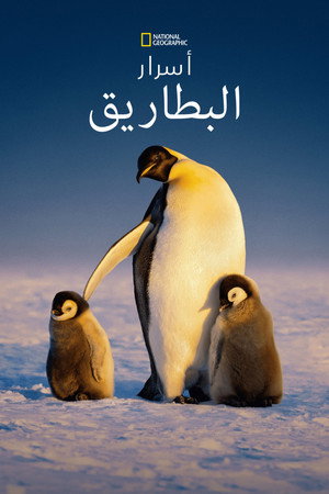 أسرار البطاريق