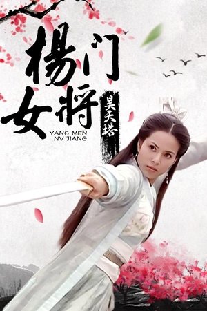 杨门女将之昊天塔
