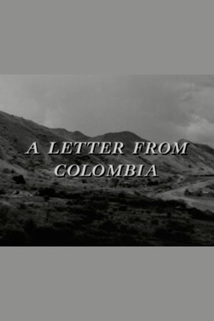 A Letter from Colombia