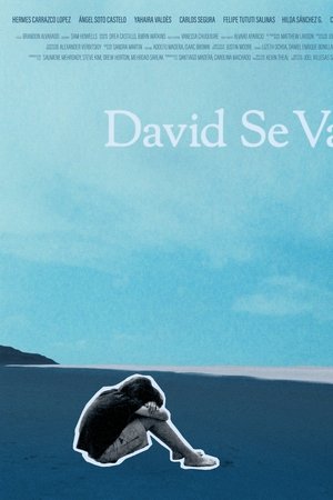 David Se Va