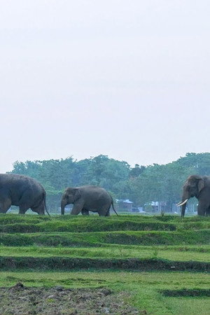 Bahundangi ko Katha
