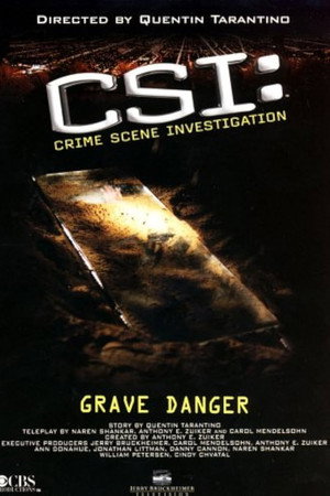 CSI: Crime Scene Investigation - Grave Danger