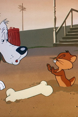 A Bone For A Bone