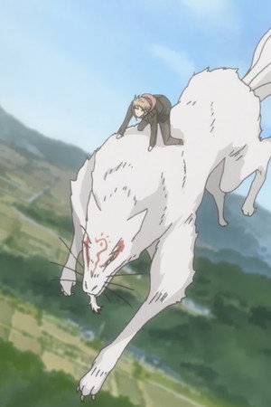 Humans and Youkai