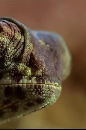 13. epizoda