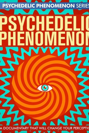 Psychedelic Experiences
