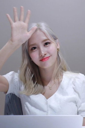 TWICE TV “Finding TWICE’s MBTI” EP. MOMO