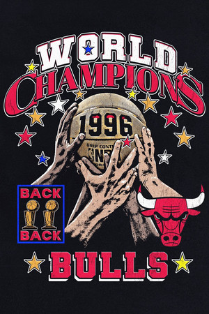 The 1996 NBA Finals