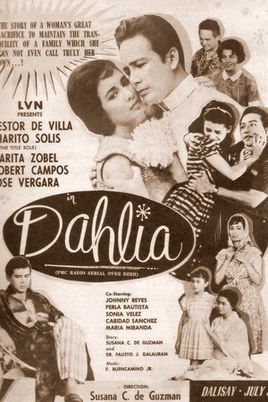 Dahlia