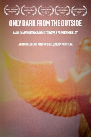 ONLY DARK FROM THE OUTSIDE