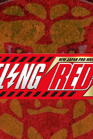 Wrestling Redzone in Hiroshima / Road to Wrestling Dontaku Night 4