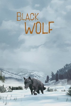 Black Wolf