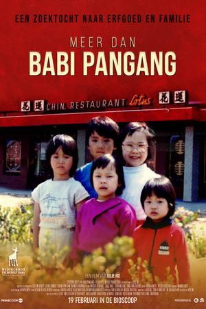 Meer dan babi pangang