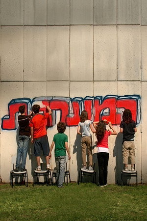 המערכת